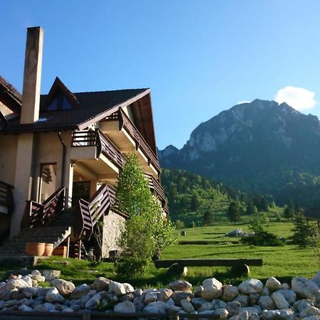 Taverna Pietrei Craiului Зэрнешти Экстерьер фото